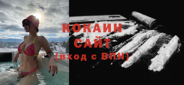 соль ск Пестово