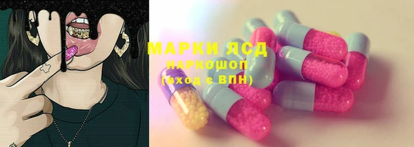стаф Алзамай