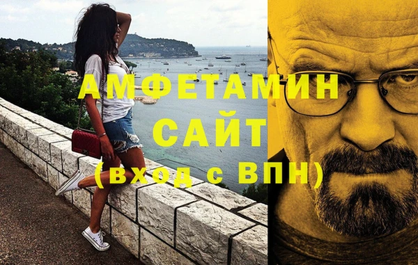 стаф Алзамай