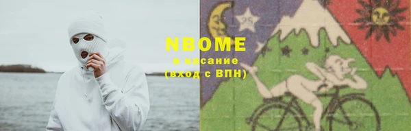индика Переславль-Залесский