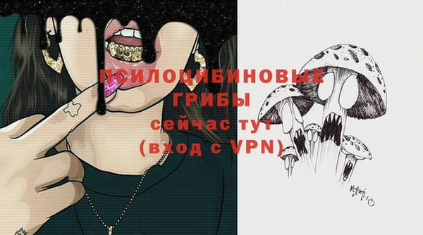 ПСИЛОЦИБИНОВЫЕ ГРИБЫ Алексеевка