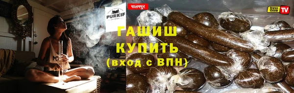 стаф Алзамай