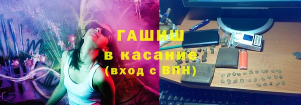 стаф Алзамай