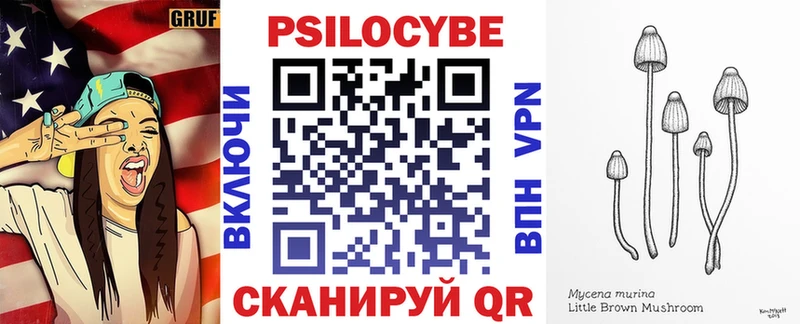 Галлюциногенные грибы мицелий как найти закладки Камышлов