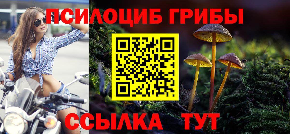 Камышлов  Галлюциногенные грибы Cubensis  Псилоцибиновые грибы ЛСД  Вход с VPN 
